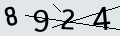 verifycode